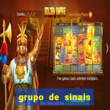 grupo de sinais fortune rabbit